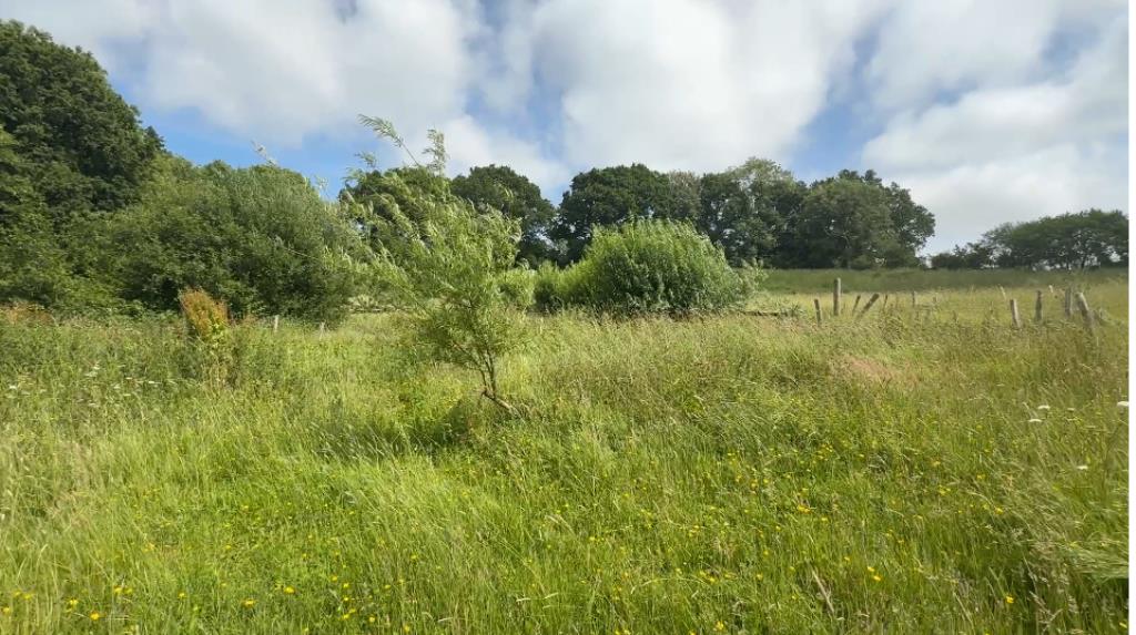Lot: 69 - 3.24 ACRES OF LAND WITH PLANNING FOR AGRICULTURAL BUILDING - WORKS COMMENCED - General view of field further view of woodland